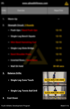 Load image into Gallery viewer, AJ HEALTH & FITNESS Youth Athletic Development Training Program