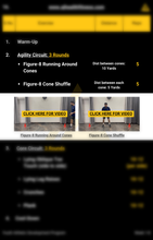 Load image into Gallery viewer, AJ HEALTH & FITNESS Youth Athletic Development Training Program